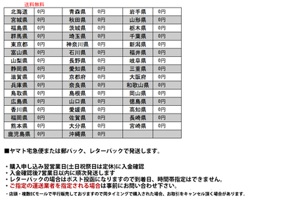 Pennine サラダプレート 4枚セット